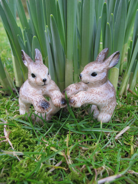 Brown Rabbit Ring