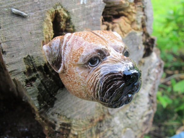 Perfectly Imperfect Border Terrier Doorknob